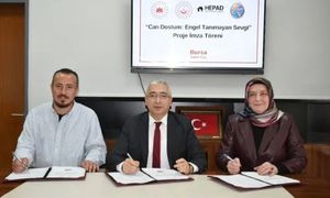 Adsız tasarım