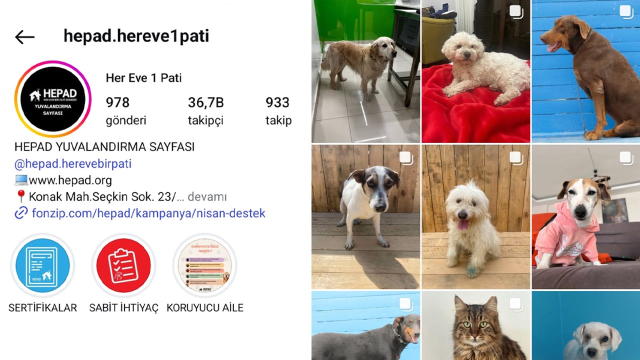 965683d7-ac4b-4cac-aefe-1a62ca7b4b5b